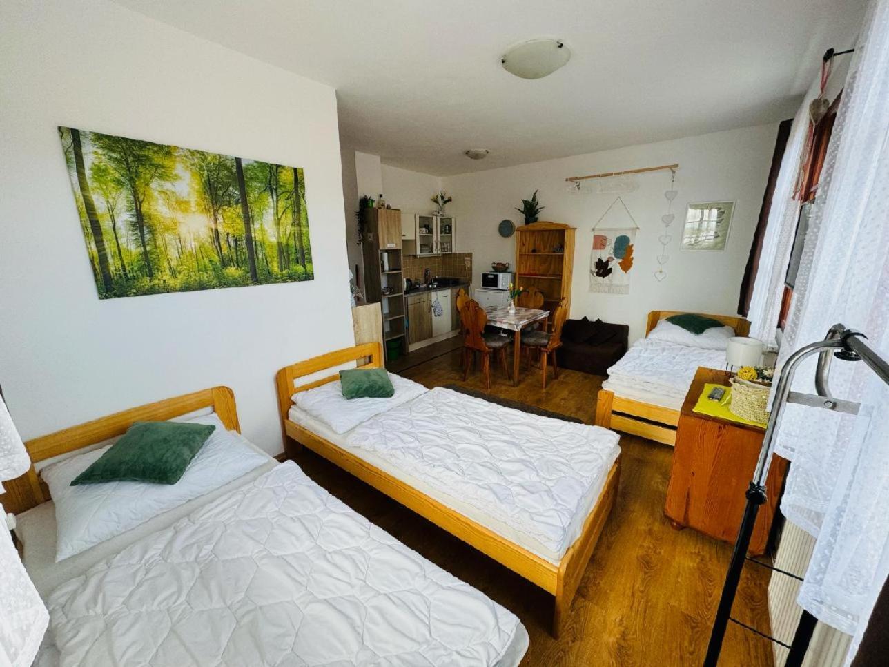 Apartmány Srub Jenišov Horni Plana Exterior foto